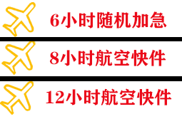 伊尔施机场托运快递公司,专业空运当天件